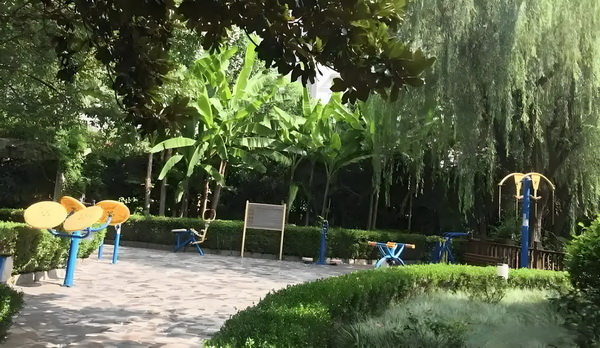 留学生落户深圳条件_《南京照相馆》很好，能爆！ 重庆好老院大渡哪家口养